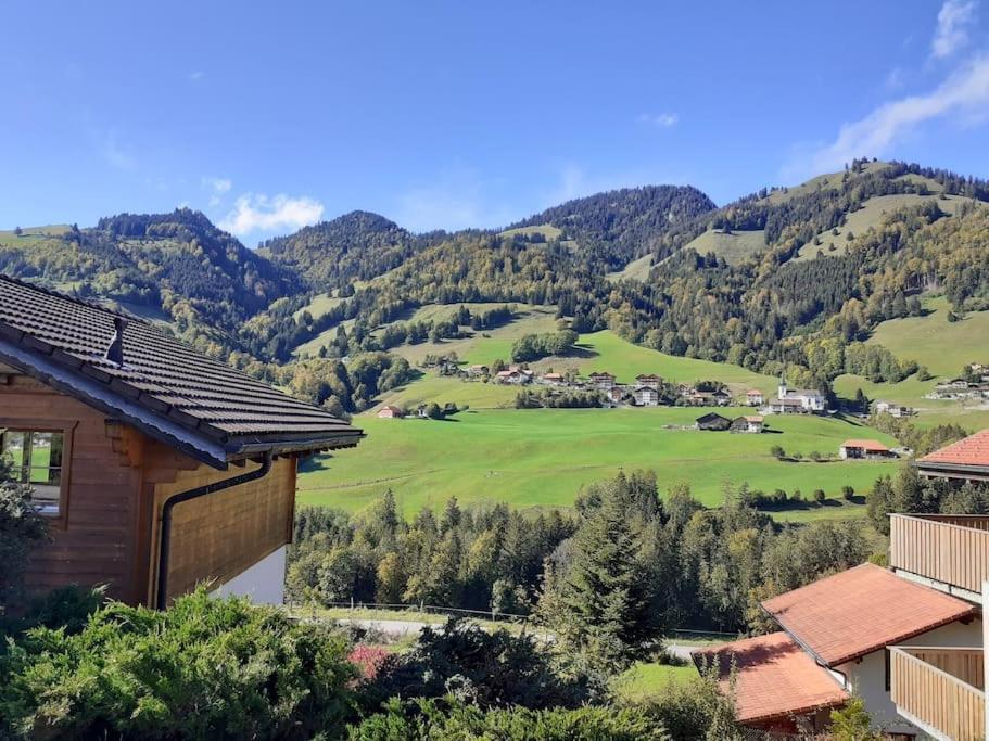 Confortable Chalet Avec Magnifique Vue En Gruyere. تشاميري المظهر الخارجي الصورة