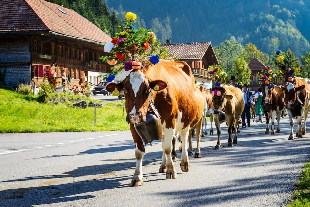 Confortable Chalet Avec Magnifique Vue En Gruyere. تشاميري المظهر الخارجي الصورة