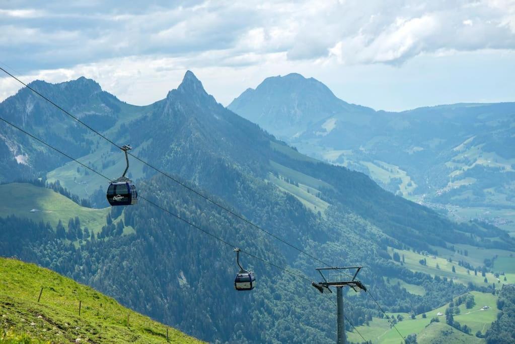 Confortable Chalet Avec Magnifique Vue En Gruyere. تشاميري المظهر الخارجي الصورة