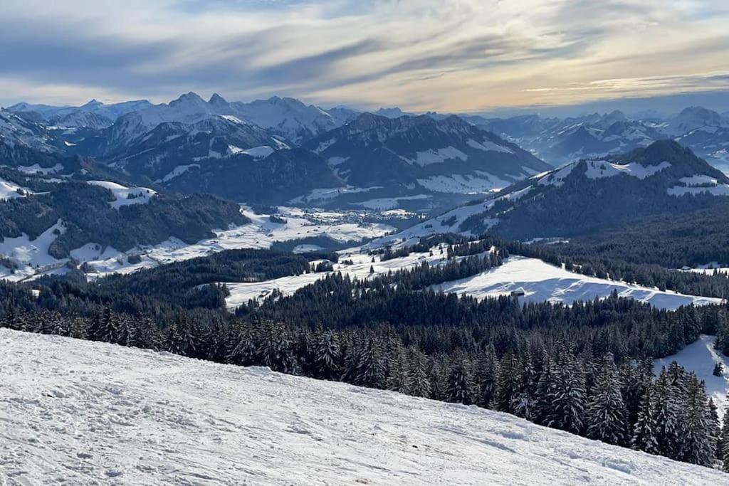 Confortable Chalet Avec Magnifique Vue En Gruyere. تشاميري المظهر الخارجي الصورة